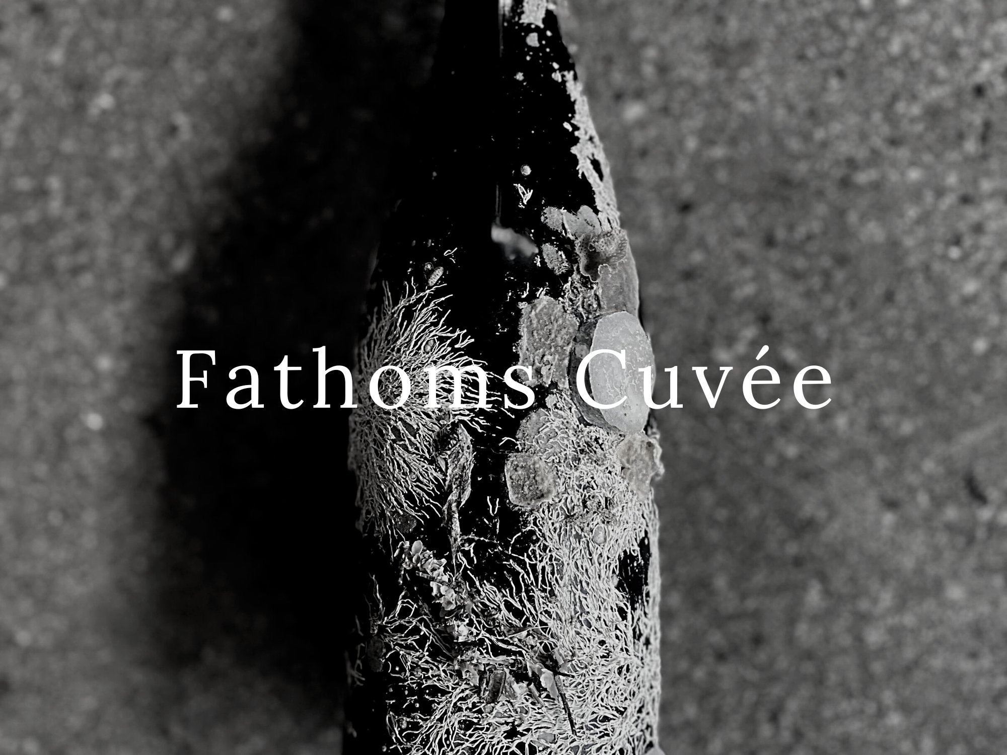 Fathoms Cuvée